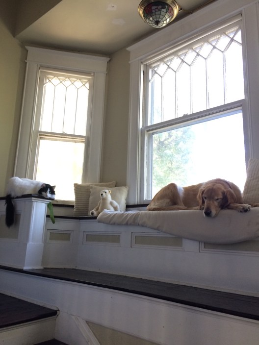 73B03547-EBD3-4C8D-929F-1793B97B7D8C