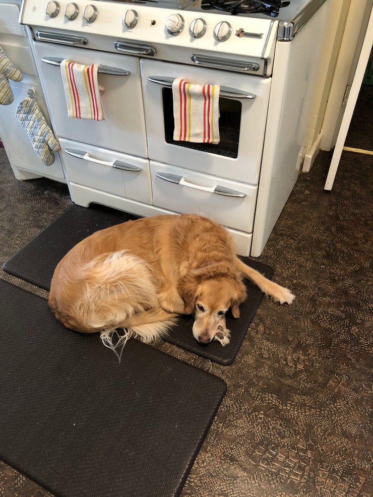 EE727BE8-233D-498A-82FD-B352681535BC