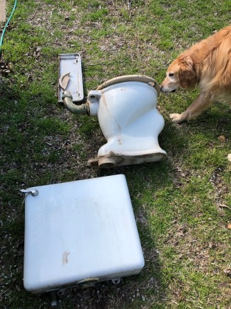 325659ED-2625-4412-8AC5-76CB2C3B5025