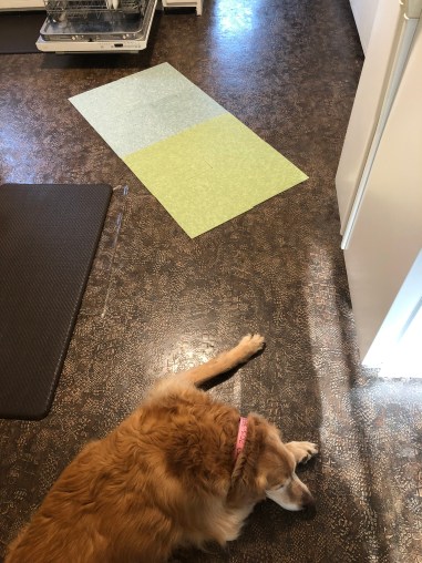 AE492E3D-8B9B-435D-B2FC-1BFBDA05510B