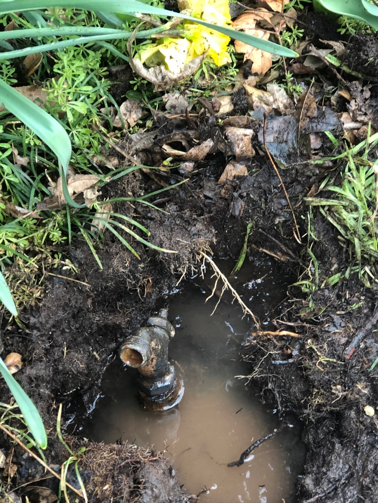 E2121B20-6924-4121-B6FE-706E6916DBD4