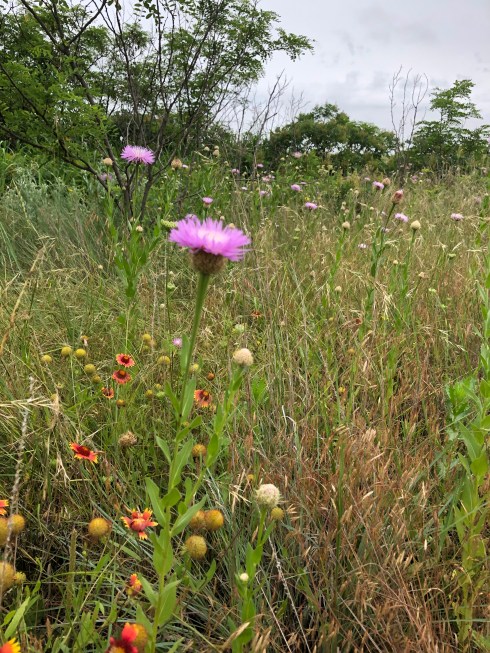 C1D640C5-7E2F-4FBE-BF11-0722150C13B8