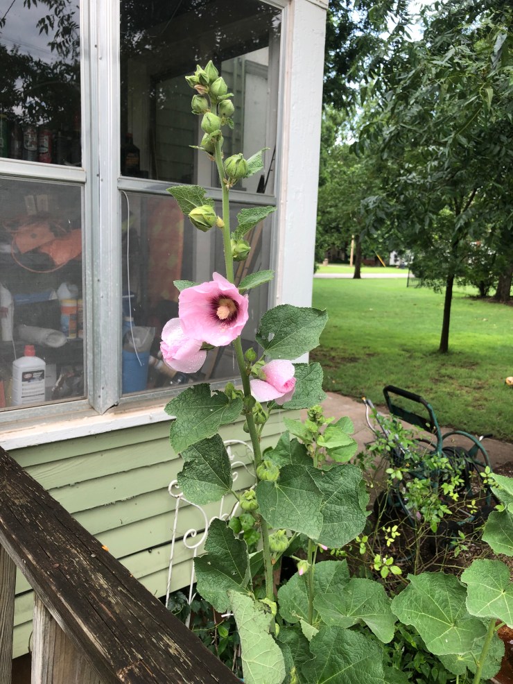 CD4C97F8-8F59-4841-97DC-B7170B1016D0