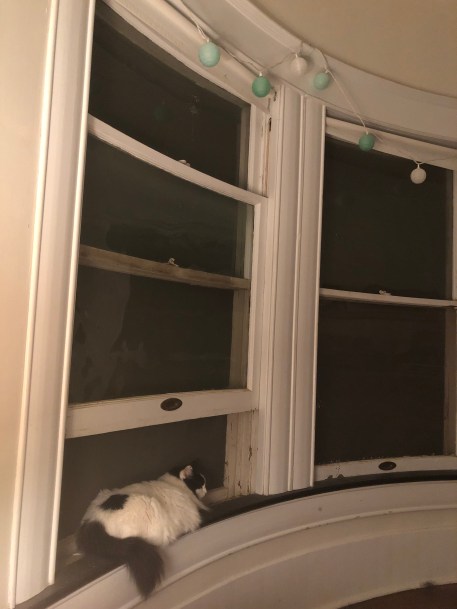 BC96C27E-C91A-4C94-992B-1C9652477B02