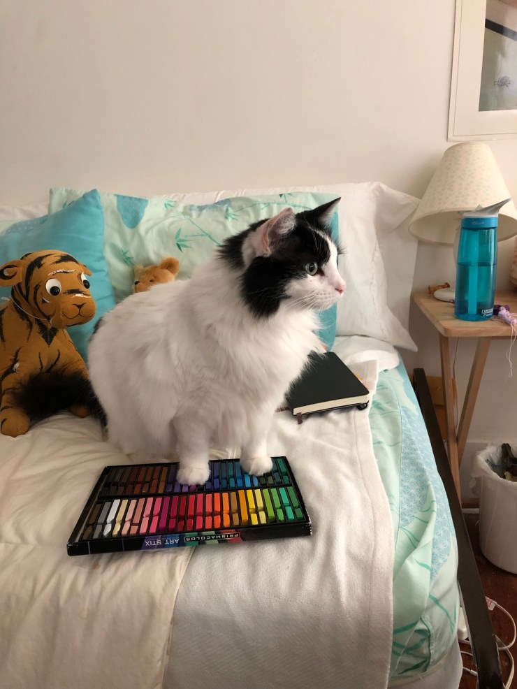 D7CFE49E-154E-4134-A2D3-4F2A12ABE2CD