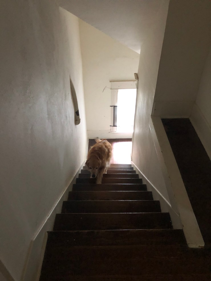 E9286A16-968F-41FF-A58B-D64499D335C1