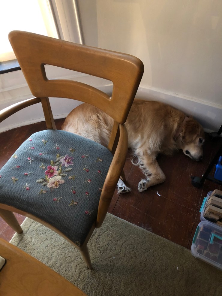 36F0D8DB-C9CB-4BD1-B83A-521A38E3A8B1