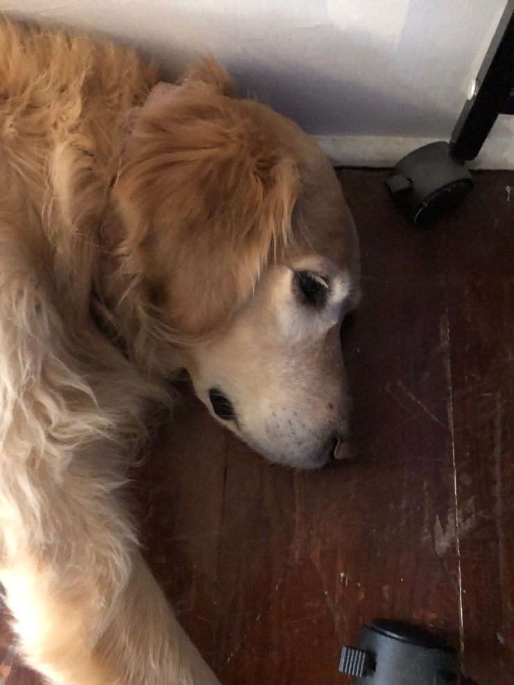 9C8C61CC-A139-4374-9F86-D26EAE10E453