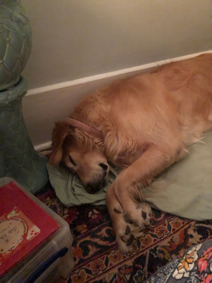 0542358B-73CD-461D-BEAD-1FBF7942E856