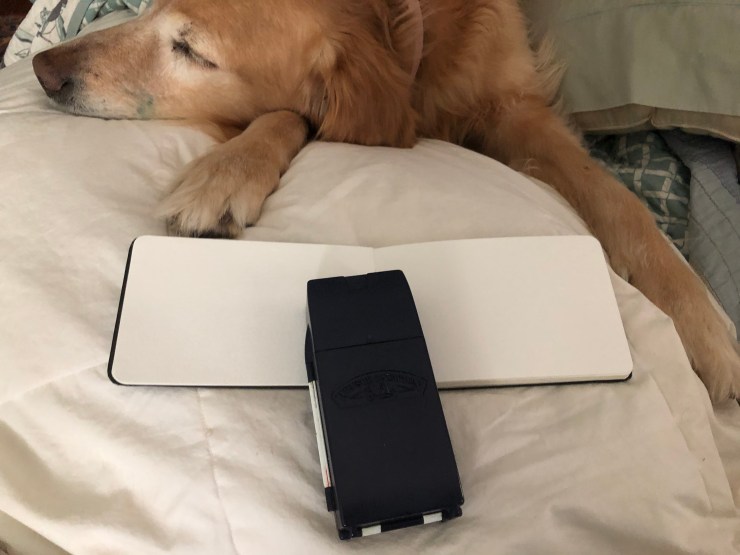 069534B1-EA9D-4A8C-B811-8E8E390A6DC6