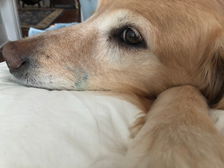 91DC914B-BAC5-487B-9A84-86CF56563F9F