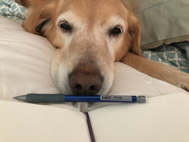 9BE09739-F9A0-4D2A-BE51-F401887945F6