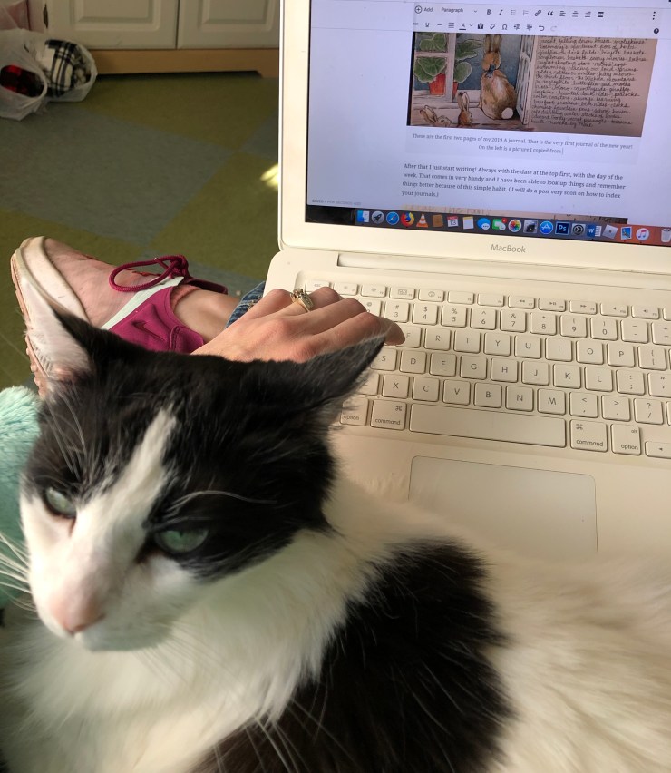 F11C8190-8496-4B60-9862-8DEB5E09321F