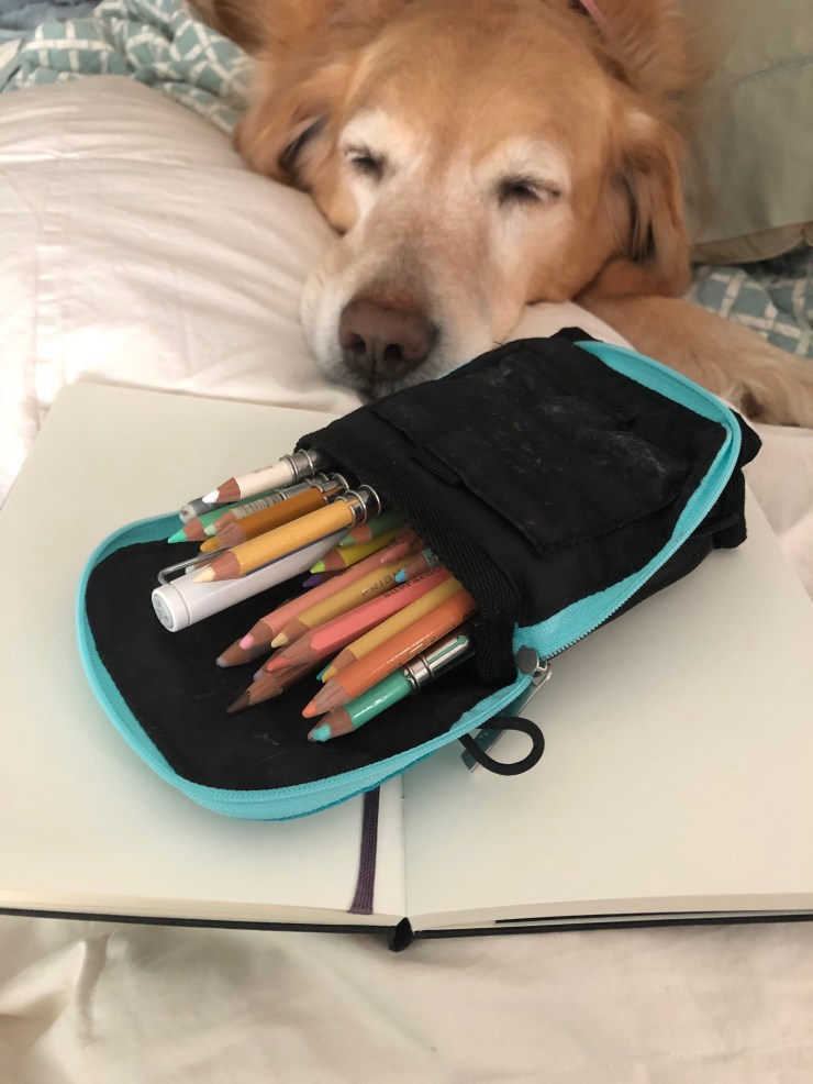 FF4C7B7C-10D8-427E-8AD9-3D986E2ECA6E