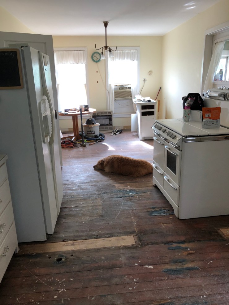 0BF3F48C-27F0-4965-88E6-B60562588B1F