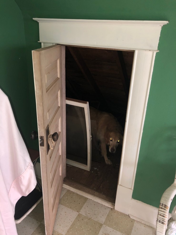 892DB469-17C0-4564-851A-5F25D55F5286