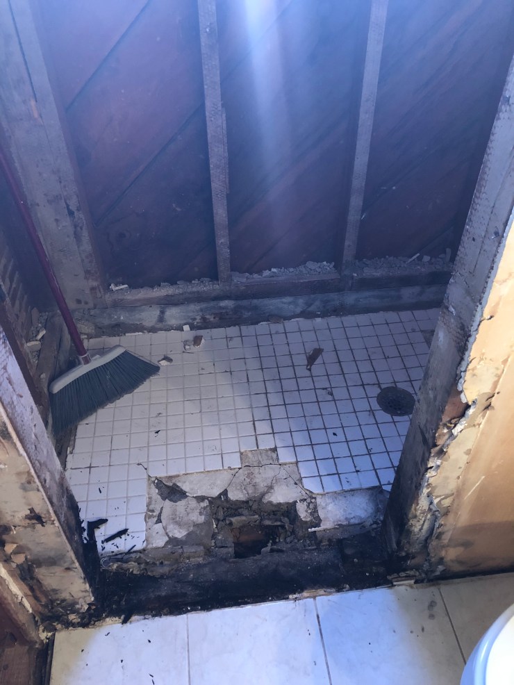 CF1B09DF-C2D0-418B-87D4-438867E31017