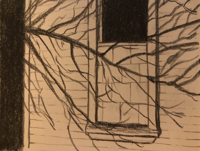 1AED138B-D695-48F5-930F-E780E13A76C9