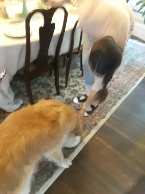 E61E0F60-935A-4D0A-B069-0E18D2A6DE51